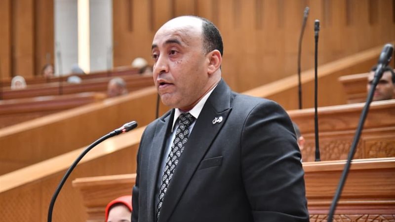 النائب حسام حسن الخشت